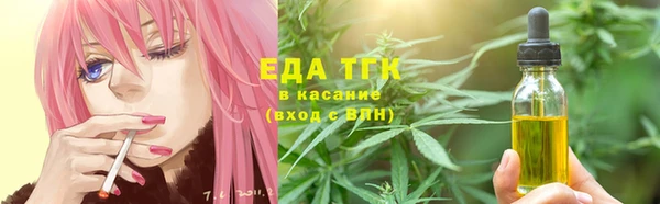 ECSTASY Алзамай