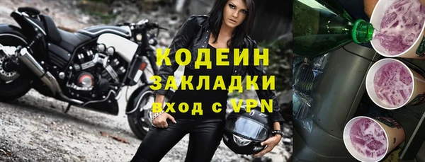 ECSTASY Алзамай