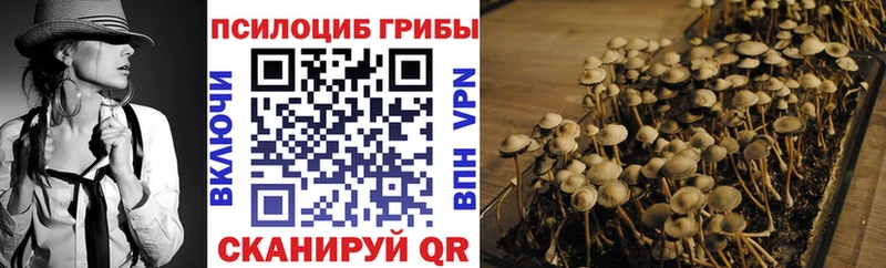 Псилоцибиновые грибы Psilocybine cubensis  сайты даркнета как зайти  Гдов 